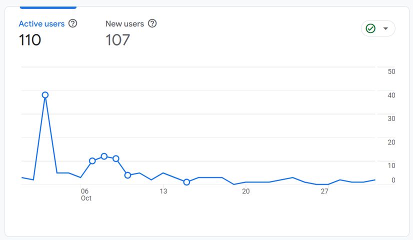 Google Analytics traffic summary October 2024